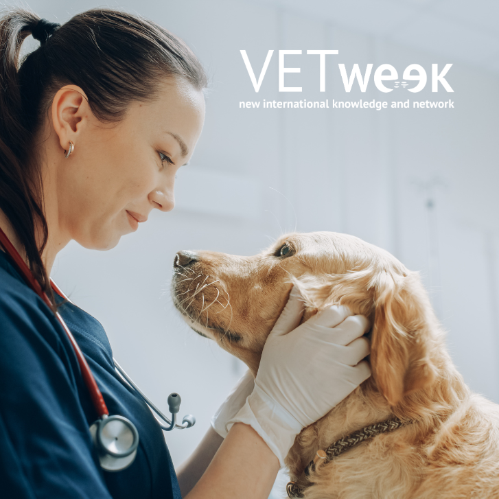 Design uden navn (24)